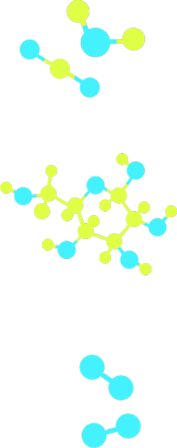 Five molecular models, one each representing carbon dioxide, water and glucose, and two representing oxygen.