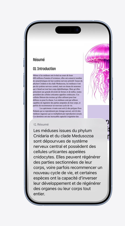 iPhone présentant l’utilisation de l’intelligence visuelle dans le domaine de la décoration intérieure