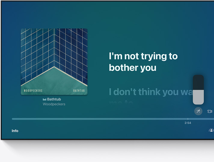 Lyrics from the song “Bathtub” by Woodpeckers illuminate in sync with the song on TV screen.